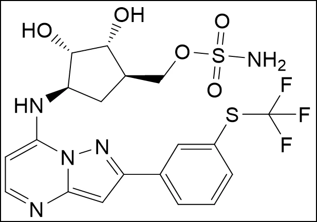 TAK-243(MLN7243); מס' CAS: 1450833-55-2